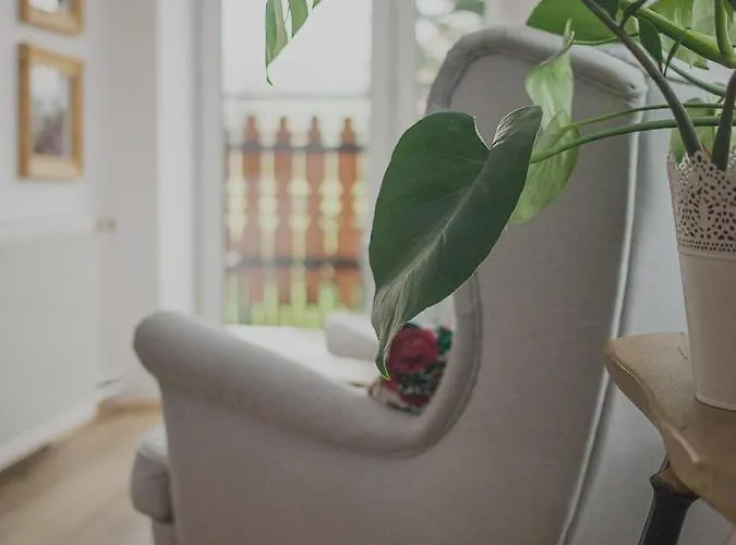 兹维加克左沃卡住宿加早餐旅馆 3* 扎科帕内