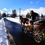 Zwijaczowka Bed & Breakfast