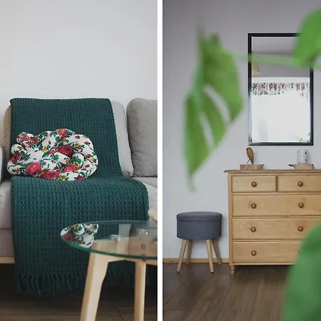 Zwijaczowka Отель типа 