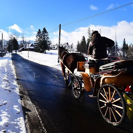 Zwijaczowka Bed & Breakfast